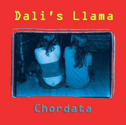 Dali's Llama : Chordata